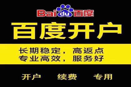 案例分析：百度推广成功案例解析